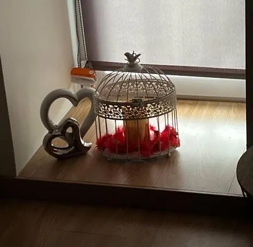 Cocooning Romantique Avec Jaccuzzi Prive * Ancinnes